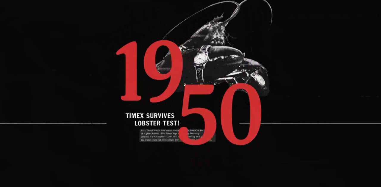 Why Choose Timex?