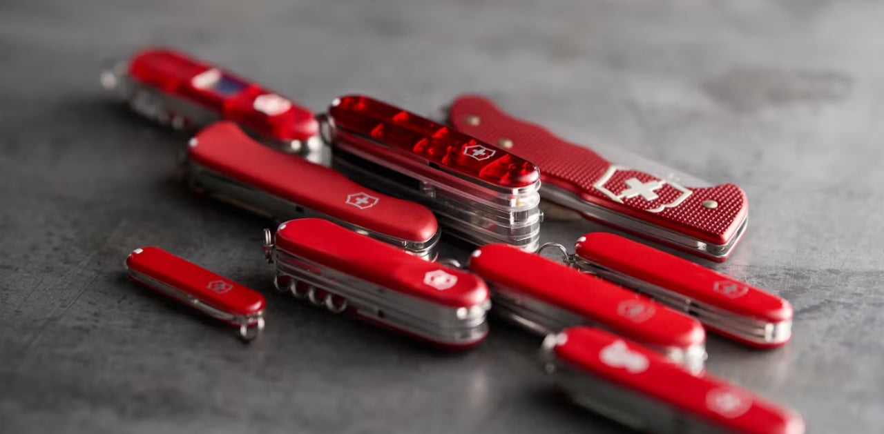 Discover Roberto Cavalli at TGTluxe