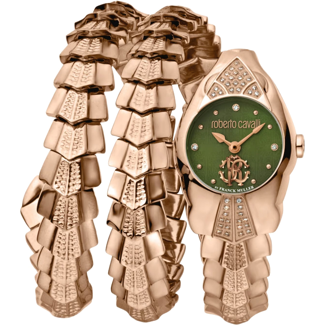 Roberto Cavalli By Franck Muller Ronda Movement 762 Stainless Steel Women RV2L061M0051