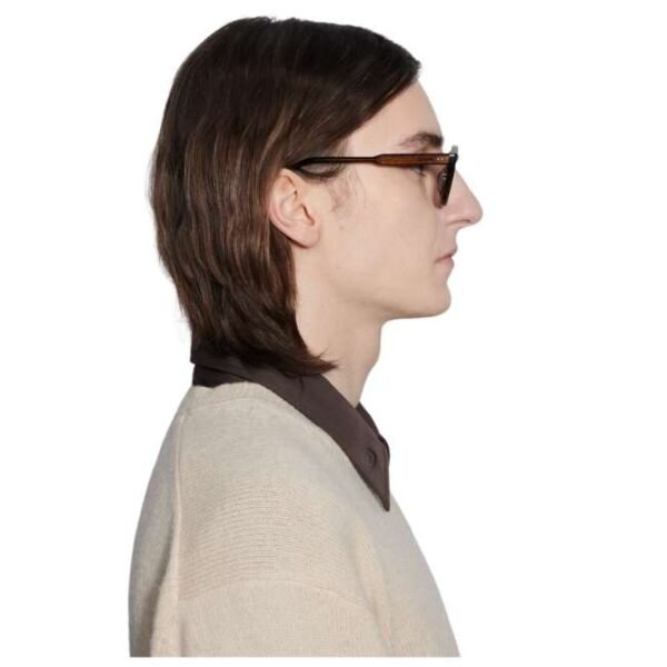 Chimi Anti-reflective Lens Brown Sunglasses 10349-111