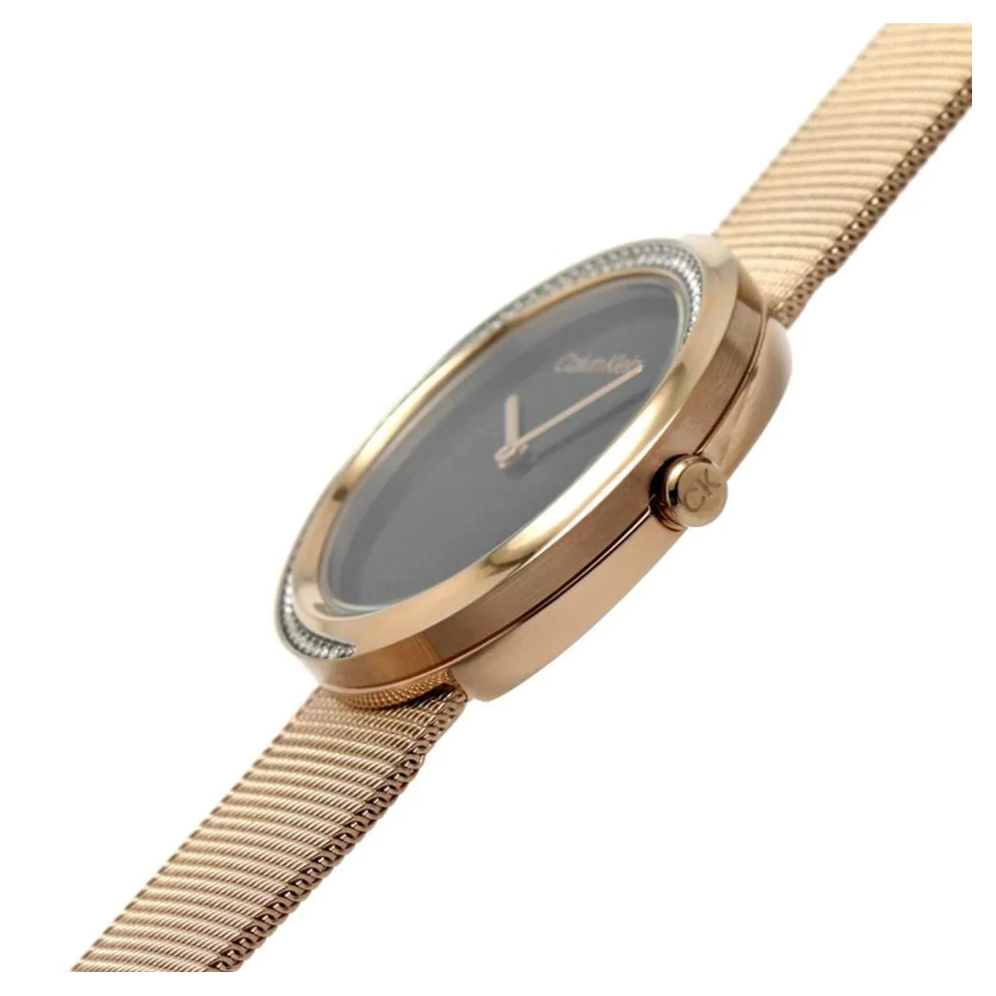 Calvin Klein Women Quartz Black Watch 25200151