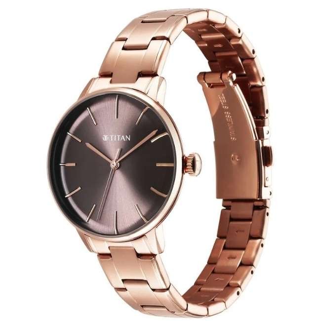 Titan Watch 95248WM01