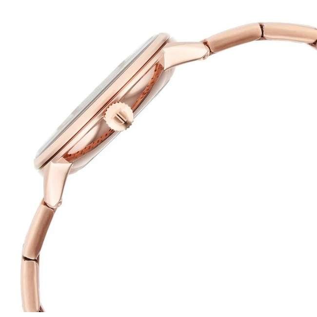 Titan Watch 95248WM01