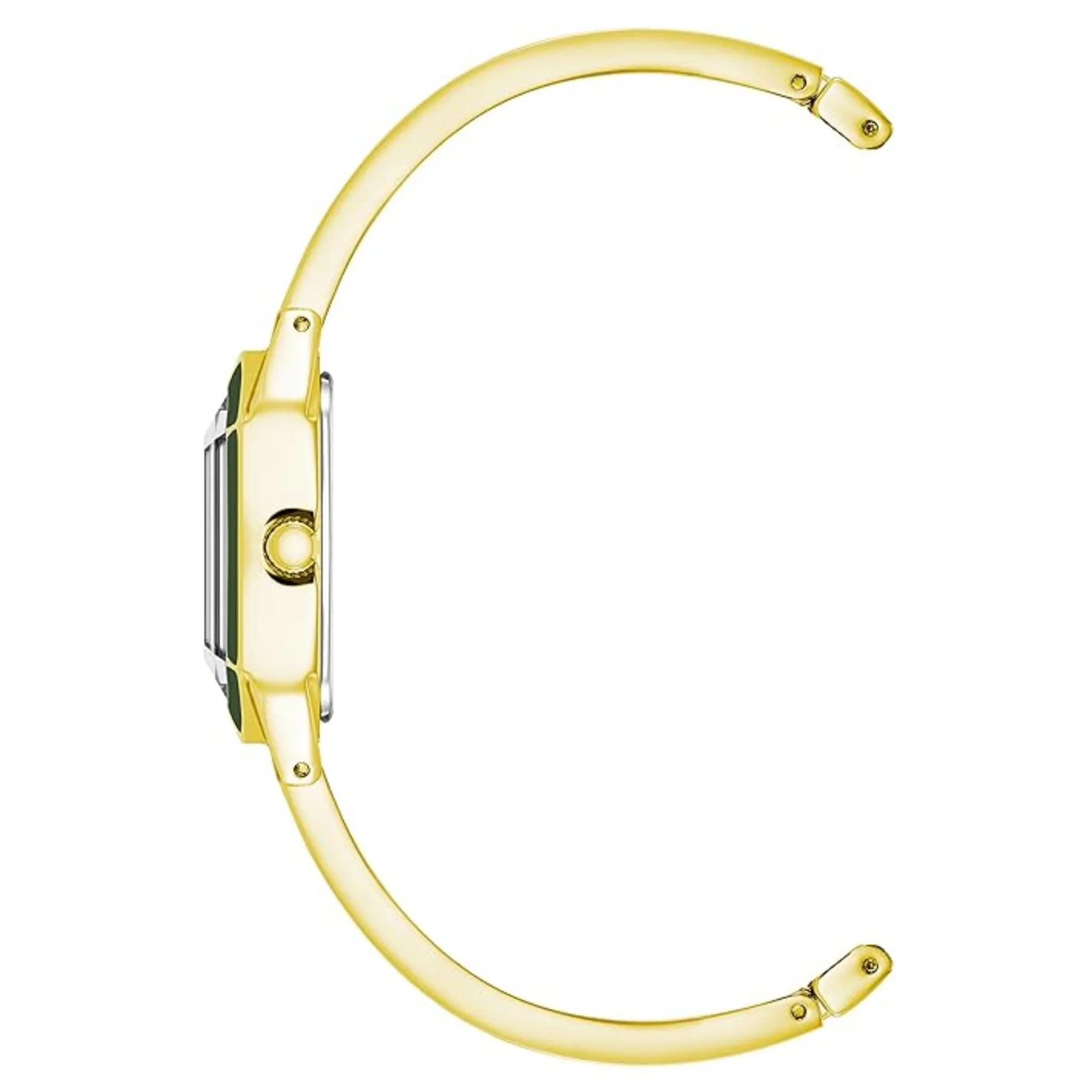Anne Klein Green Dial Watch - AK 4042GPGN