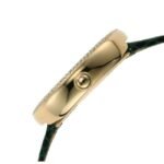 Emporio Armani Round Green Women Watch Ar11419