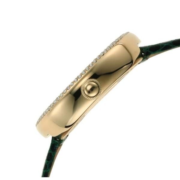 Emporio Armani Round Green Women Watch Ar11419