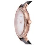 Emporio Armani Round White Mother Of Pearl Women Watch Ar11485
