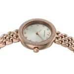 Emporio Armani Round Silver Women Watch Ar11508