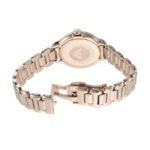 Emporio Armani Round Mother Of Pearl Women Watch Ar11523