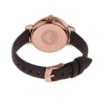 Emporio Armani Round Brown Women Watch Ar11555