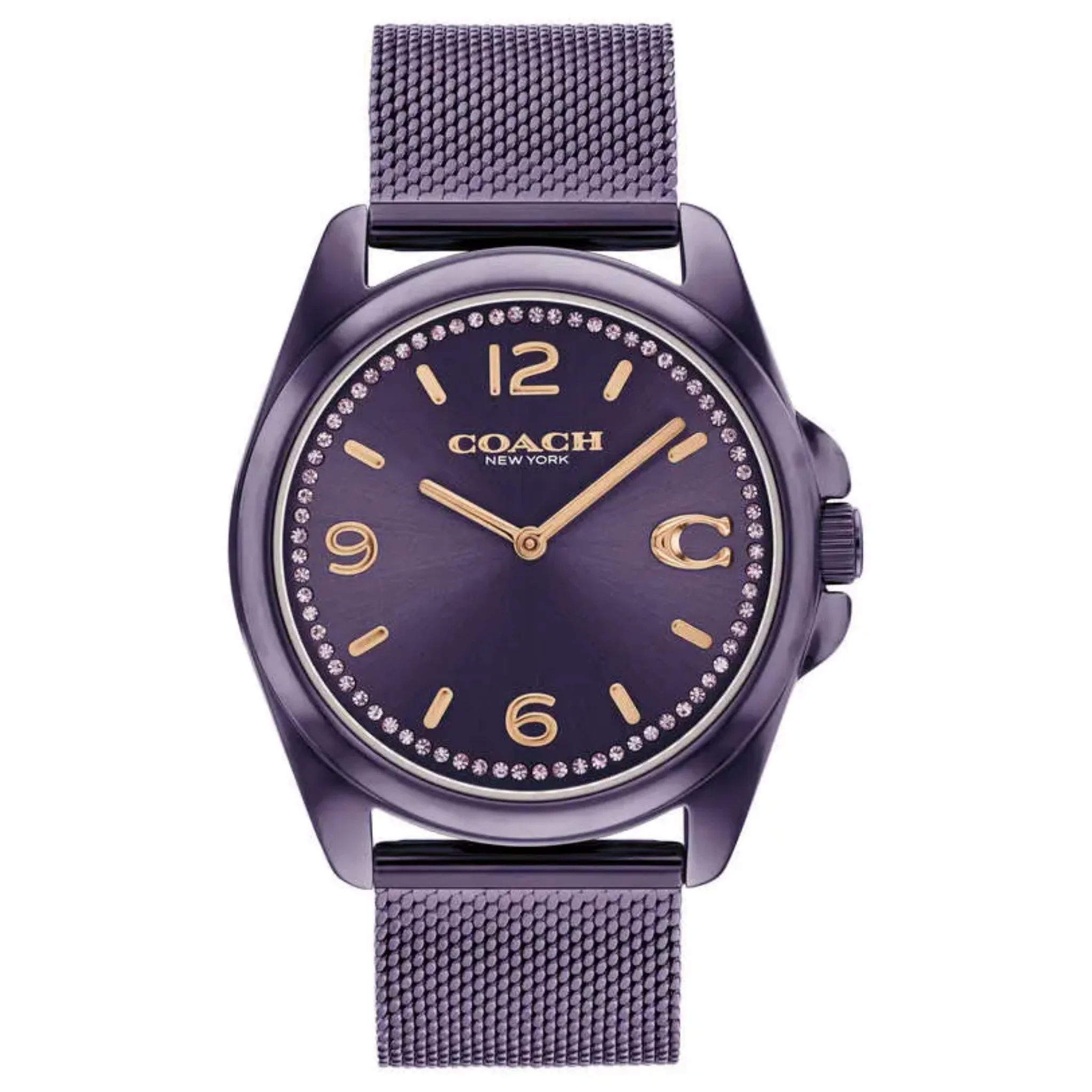 Coach 36 mm Purple Dial Watch - CO14504145W