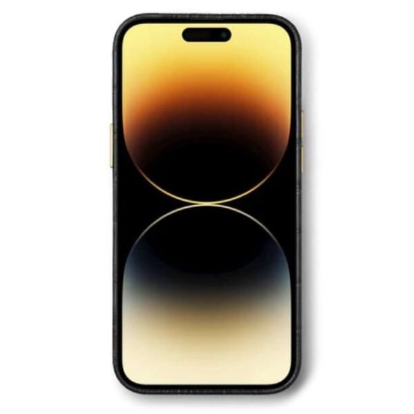 Golden Concept iPhone Case / Wallet Edition for 14 Pro Max -IC-14PM-W-CE-BK-SL