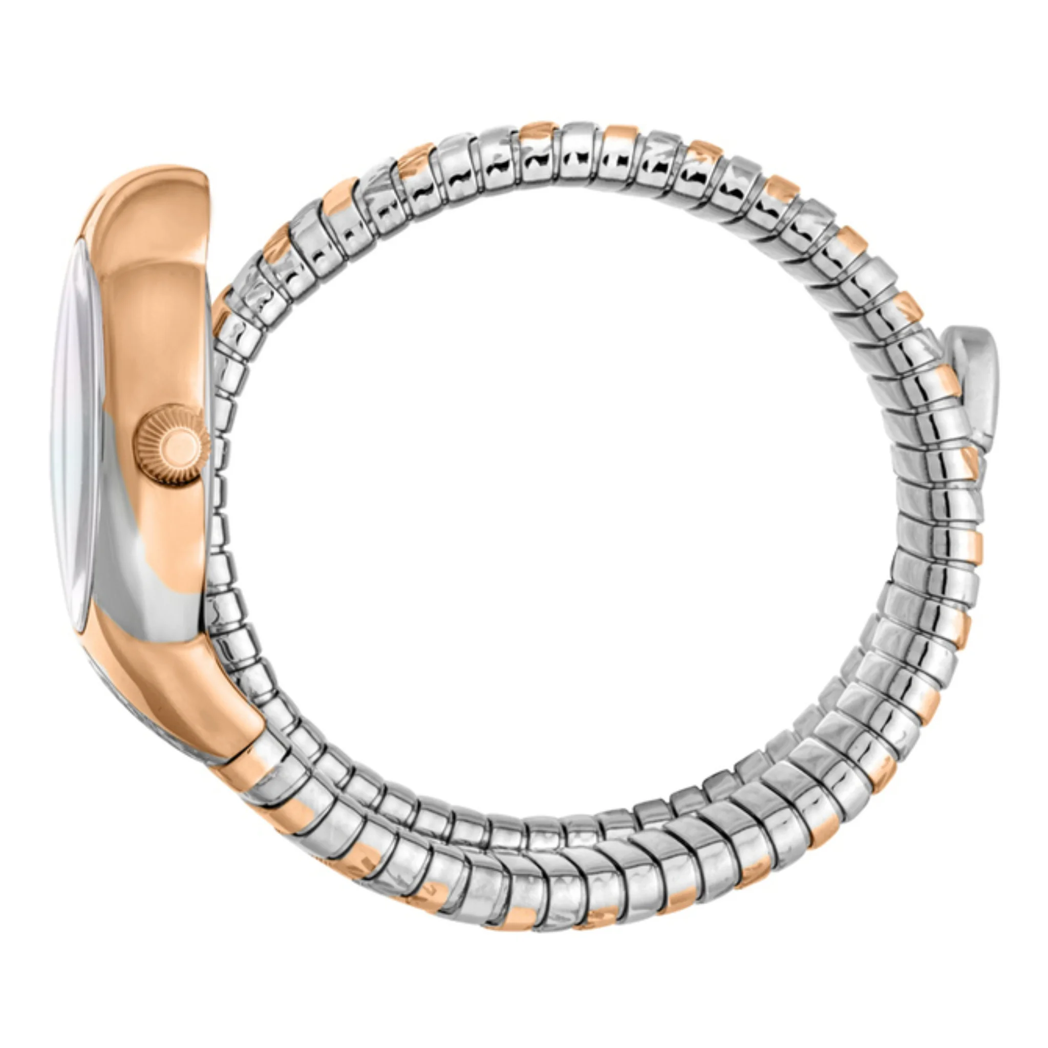 Roberto Cavalli By RC Radice Analog Watch for Women-RC5L052M0065