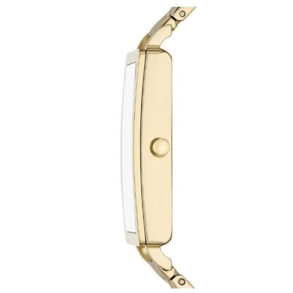 Skagen Rect/North-South Gold Women Watch Skw3098