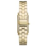 Skagen Rect/North-South Gold Women Watch Skw3098