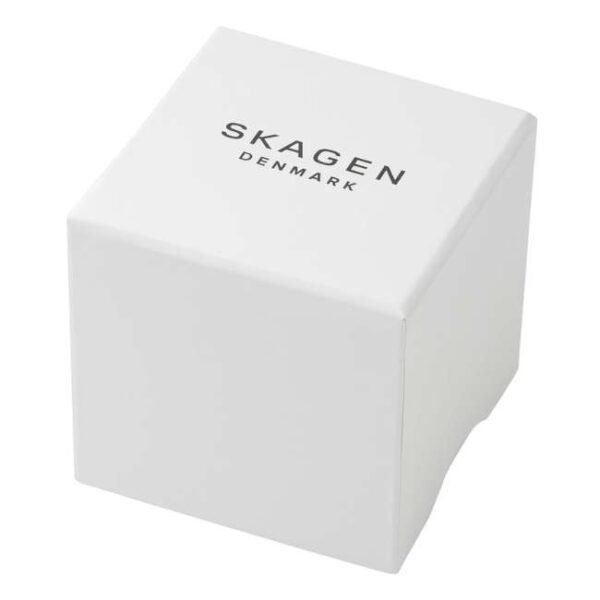 Skagen Round Gray Men Watch Skw6086