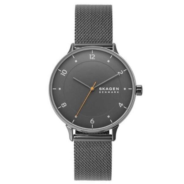 Skagen Round Gray Men Watch Skw6884