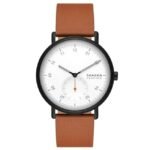 Skagen Round White Men Watch Skw6889