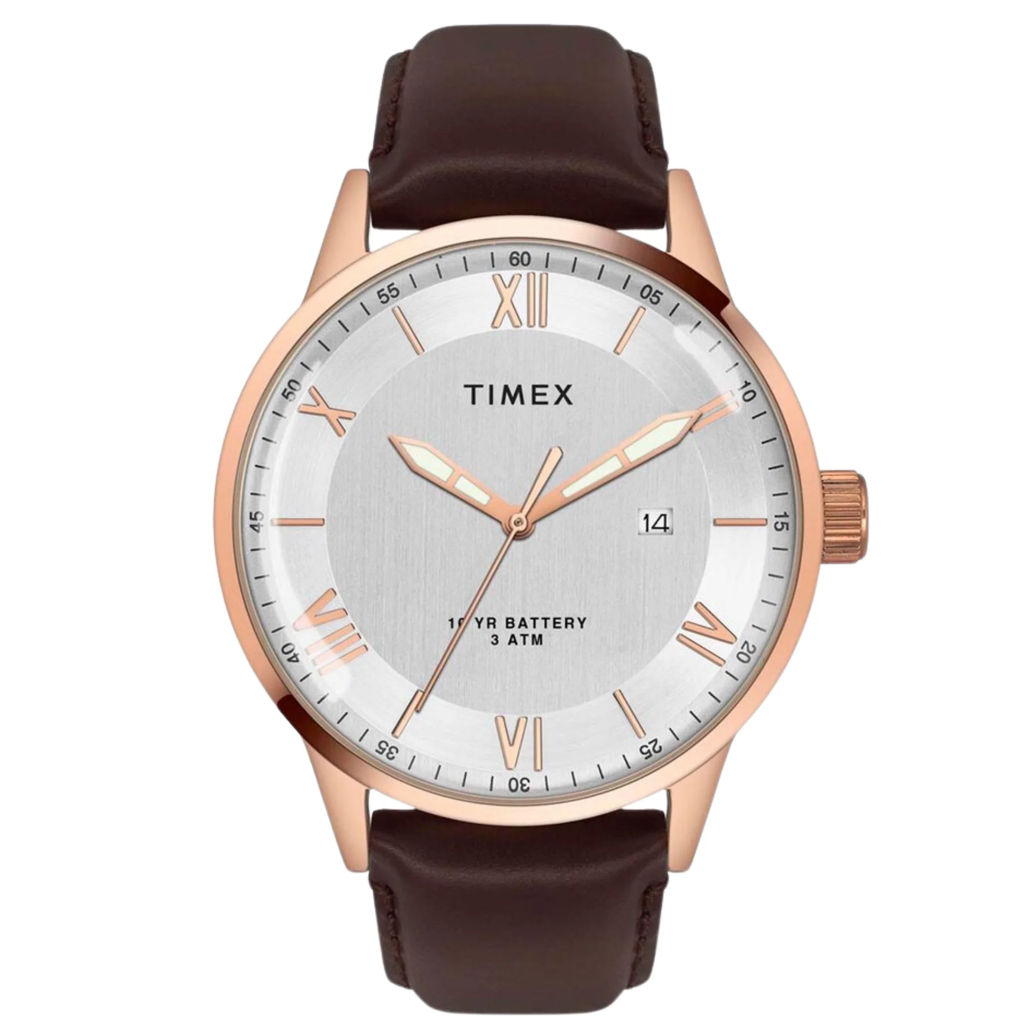 TIMEX E Class Male Silver Analog Leather Watch TWEG19917