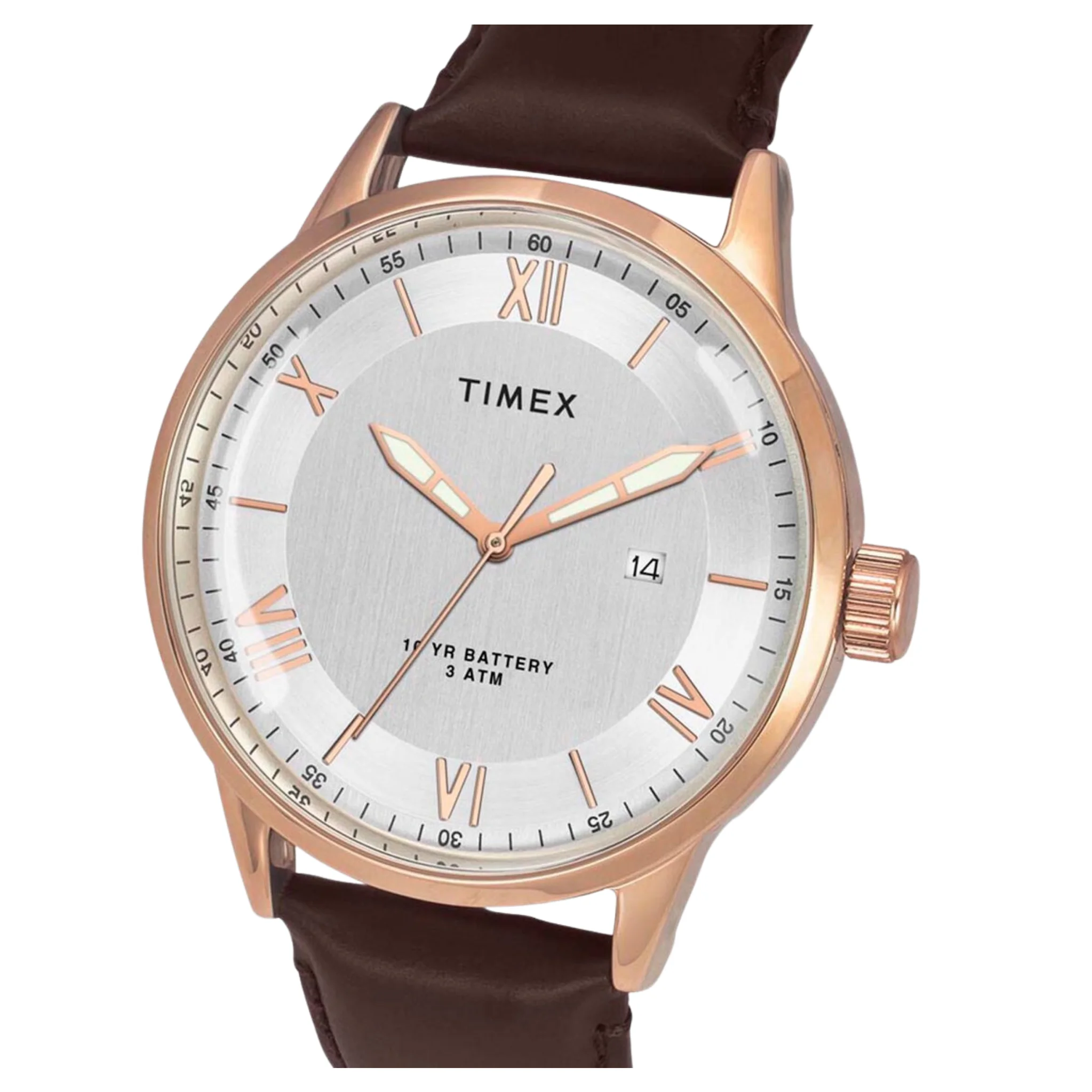 TIMEX E Class Male Silver Analog Leather Watch TWEG19917