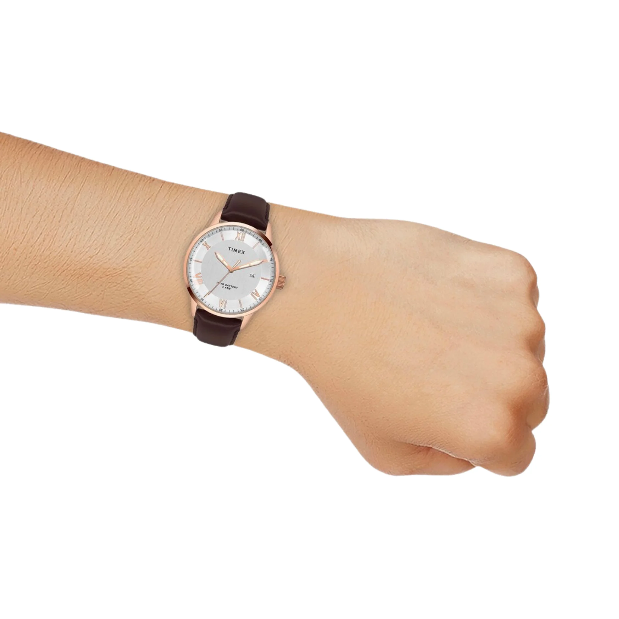 TIMEX E Class Male Silver Analog Leather Watch TWEG19917