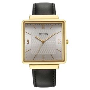 Titan Karishma Silver Dial Watch for Men-10005YL01