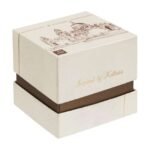 Titan Forever Kolkata Silver Dial Analog Leather Strap watch for Men-1740WL04