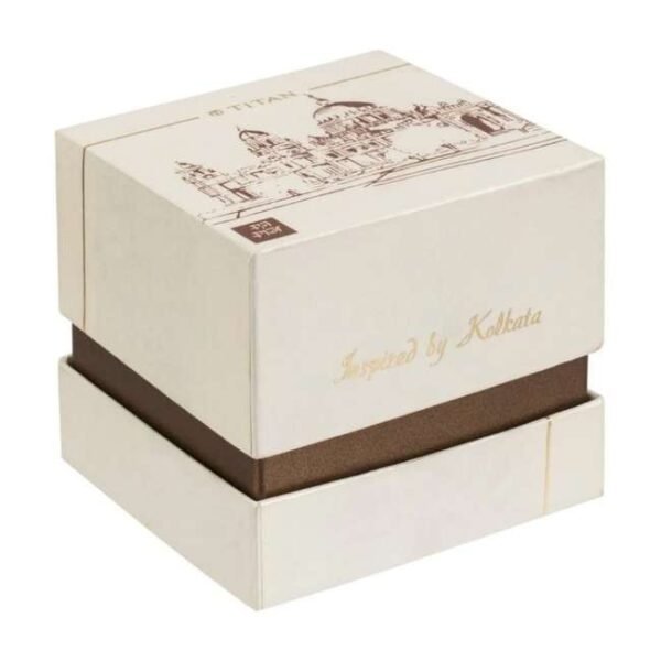 Titan Forever Kolkata Silver Dial Analog Leather Strap watch for Men-1740WL04