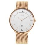 Titan Black and Gold Silver Dial Analog Stainless Steel Strap watch for Men-1849WM01