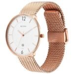 Titan Black and Gold Silver Dial Analog Stainless Steel Strap watch for Men-1849WM01