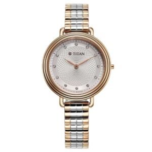 Titan Aura Quartz Analog Silver Dial Stainless Steel Strap Watch for Women-95244KM01