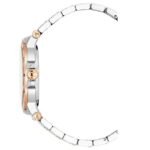 Aigner Trieste 2 42 MM Dial Stainless Steel Watch for Men - AIAGW243005W