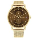 Tommy Hilfiger Quartz Multifunction Brown Stainless Steel Strap for Women-TH1782663