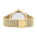 Tommy Hilfiger Quartz Multifunction Brown Stainless Steel Strap for Women-TH1782663