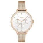 Boss Prime Women White Analog Multifunction Mesh Watch - 1502663