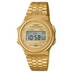 Casio Unisex Gold Dial Digital Watch -D224