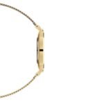 Daniel Wellington Women Gold Dial Quartz Watch -DW00100349K