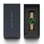 Daniel Wellington Women Green Dial Quartz Watch -DW00100480K