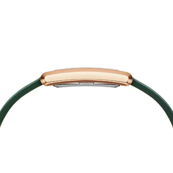 Daniel Wellington Women Green Dial Japanese Quartz Watch -DW00100694K