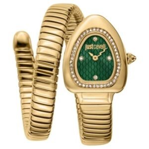 Just Cavalli Women Green DialQuartz Watch -JC1L249M0035