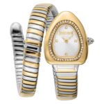 Just Cavalli Silver Dial Women Quartz Watch – JC1L249M0055