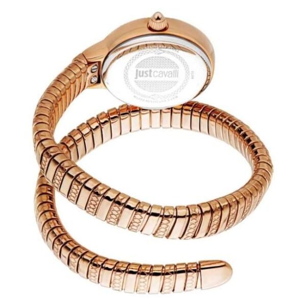 Just Cavalli Women Silver DialQuartz Watch -JC1L268M0045