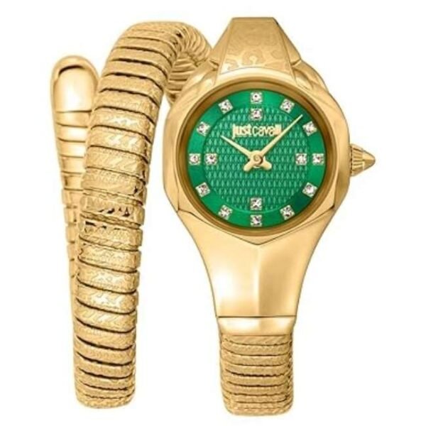 Just Cavalli Women Green DialQuartz Watch -JC1L270M0035
