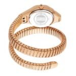 Just Cavalli Women Silver DialQuartz Watch -JC1L270M0045