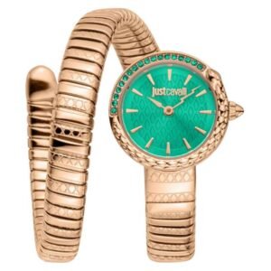 Just Cavalli Women Green Dial Japan Movement Watch -JC1L301M0055
