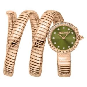 Just Cavalli Women Green DialQuartz Watch -JC1L302M0045
