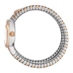 Just Cavalli Women Silver DialQuartz Watch -JC1L302M0065