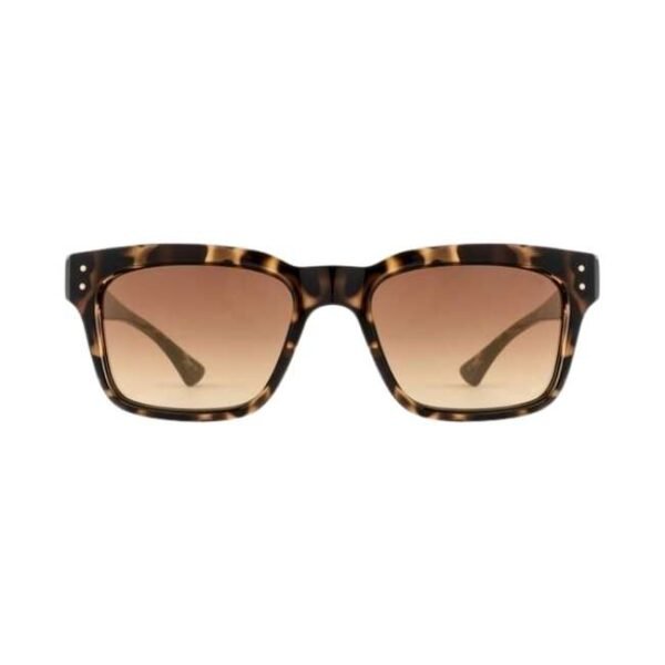 Opium Women Brown Demi Wayfarer Sunglasses | Op-10085-C02