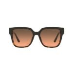 Michael Kors Women black and brown Sunglass - 0MK2170U 39081854