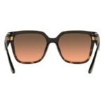 Michael Kors Women black and brown Sunglass - 0MK2170U 39081854